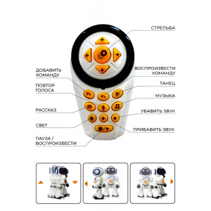 Интерактивный робот Шунтик