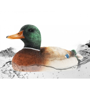 1:16 Катер 2 в 1 в виде Утки, Flytec - V201