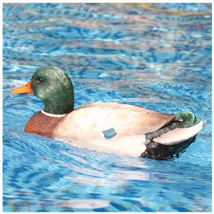 1:16 Катер 2 в 1 в виде Утки, Flytec - V201