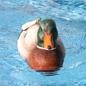 1:16 Катер 2 в 1 в виде Утки, Flytec - V201