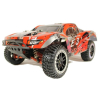 1:10 Remo Hobby EX3-PRO, Brushed, 4WD, 2.4Ghz