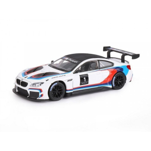 1:24 BMW M6 GT3