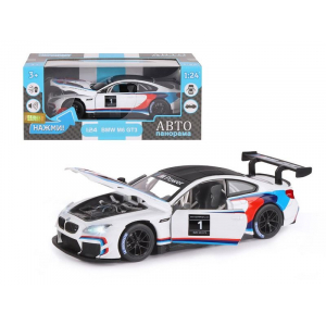 1:24 BMW M6 GT3