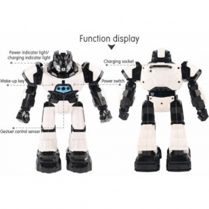 Функциональный робот "Плуто" (свет, звук, песни, сказки, сенсорное управление)