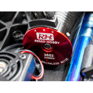 1:8 Remo Hobby Dinosaurs Master, Brushless, 4WD, 2.4Ghz